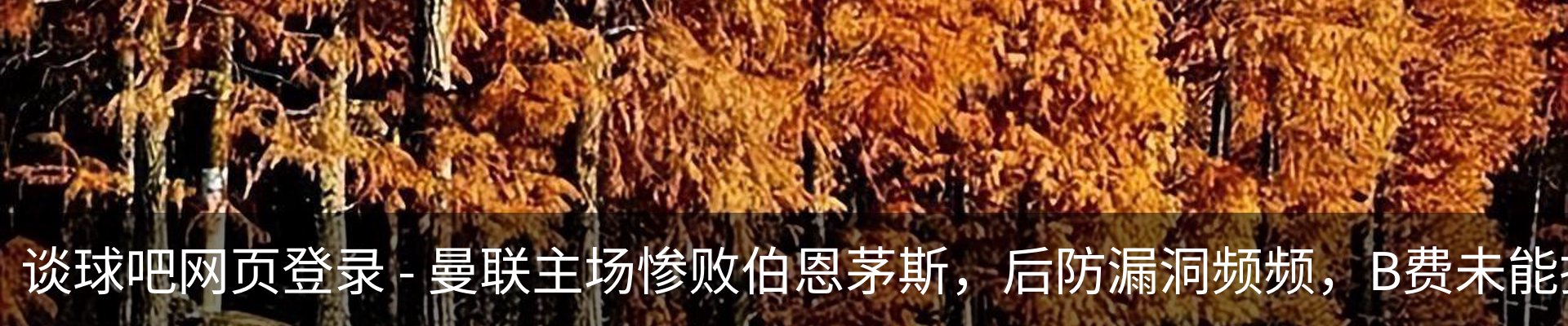 新闻动态